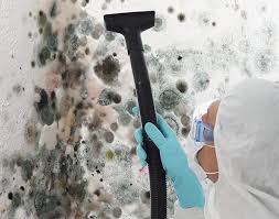 Why You Should Choose Our Mold Remediation Services in St Robert, MO